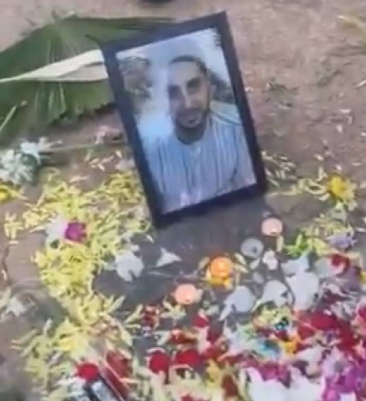 مهران تاجداری