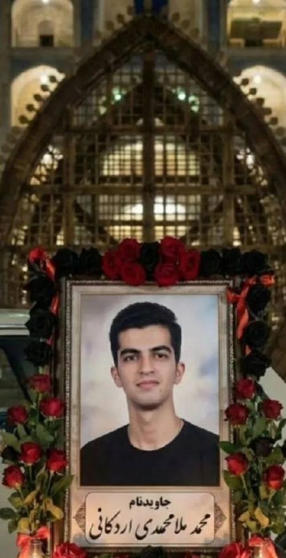 محمد ملامحمدی اردکانی