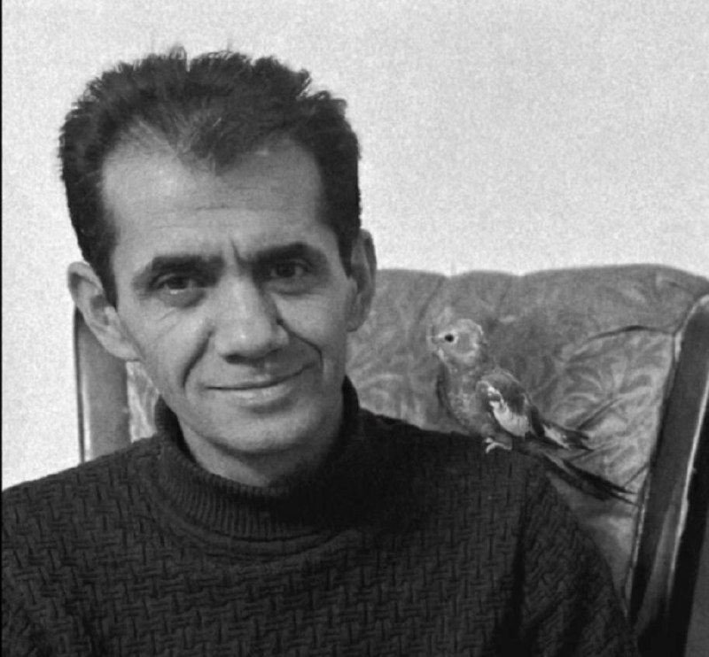 فضائیل بالغ