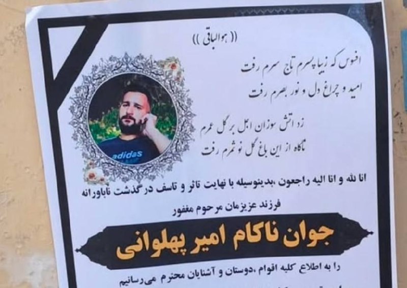 امیر پهلوانی