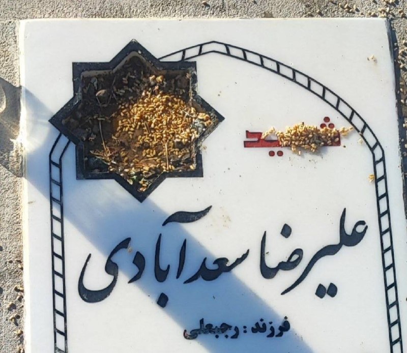 علیرضا سعدآبادی