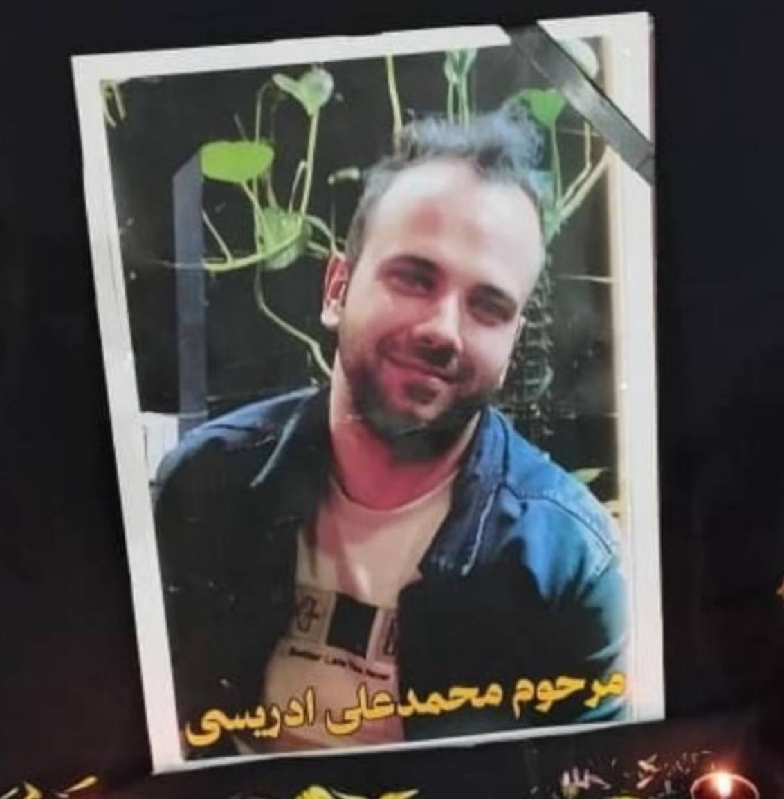 محمدعلی ادریسی