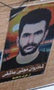 مجتبی عاشقی